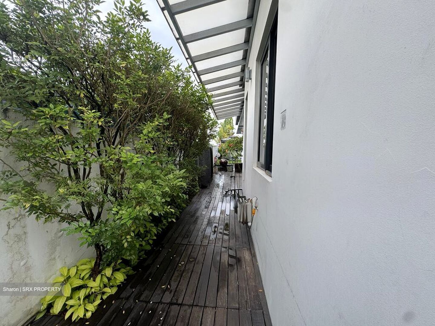 Serangoon Garden Estate (D19), Semi-Detached #498276911